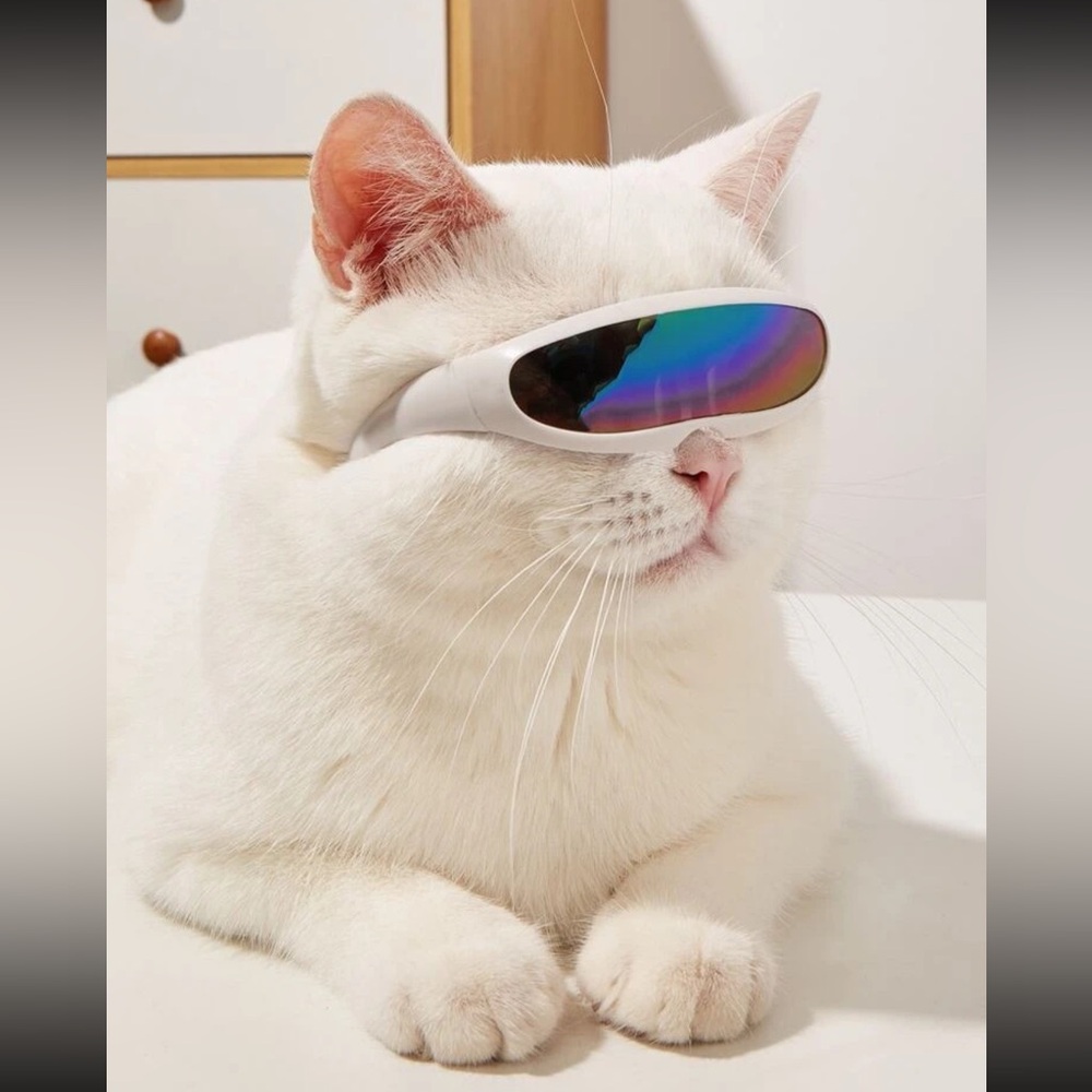 🐈‍⬛ Adorable Kitty Cat Iridescent Uni- Lease Shield Sun Glasses 🐈‍⬛
